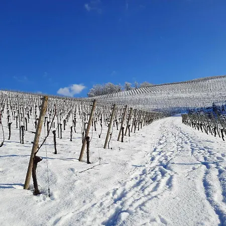 Am Weinberg Oberkirch (Baden)