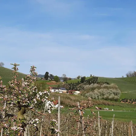 Am Weinberg Oberkirch (Baden)