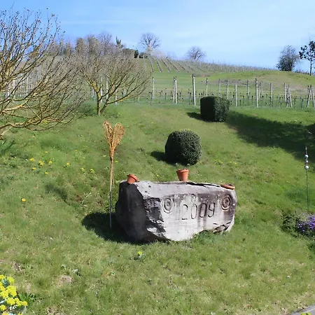 Апартаменты Am Weinberg Оберкирх