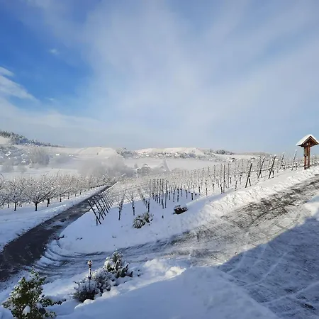 Am Weinberg * Oberkirch (Baden)