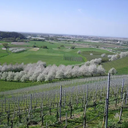 Apartament Am Weinberg
