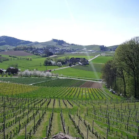 Апартаменты Am Weinberg Оберкирх