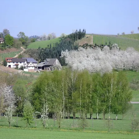 Am Weinberg Апартаменты